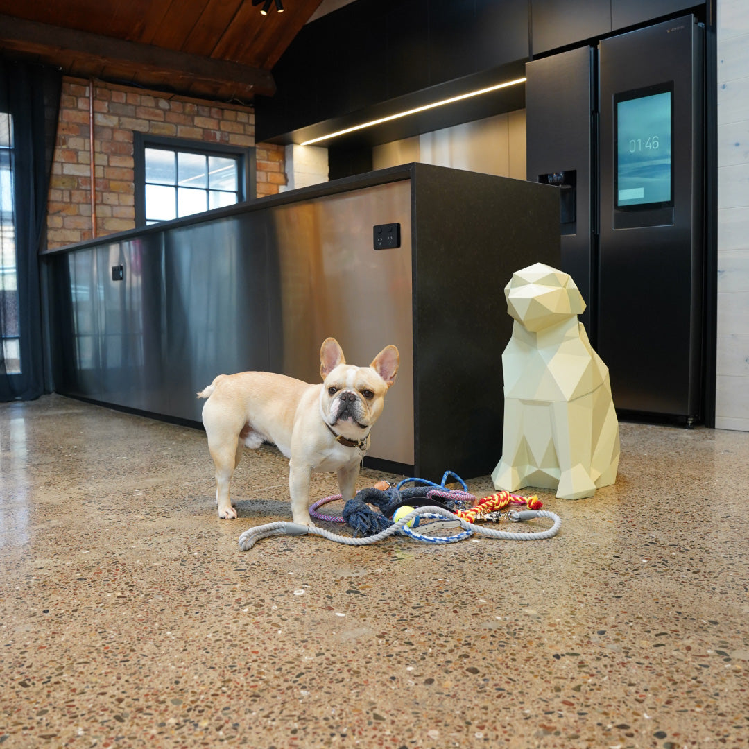 Dog Storage Bin