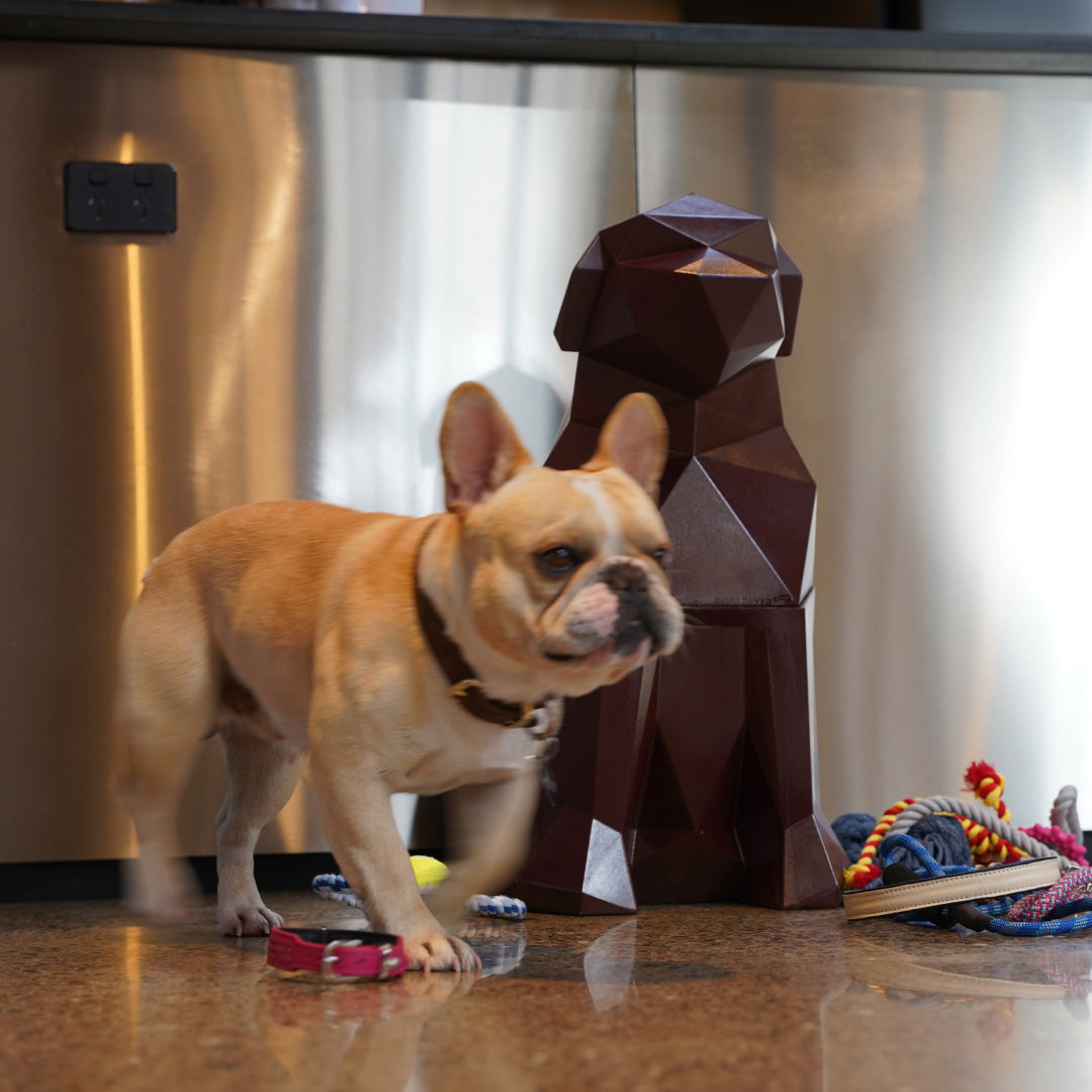 Dog Storage Bin